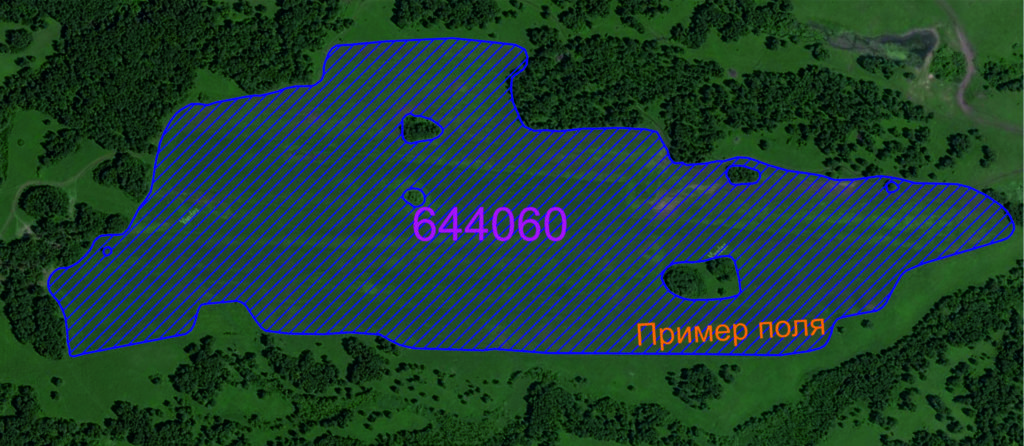 Поле 64га